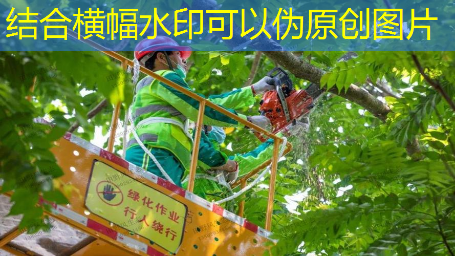 病虫害频发成园林管理顽疾，如何加强防治工作？