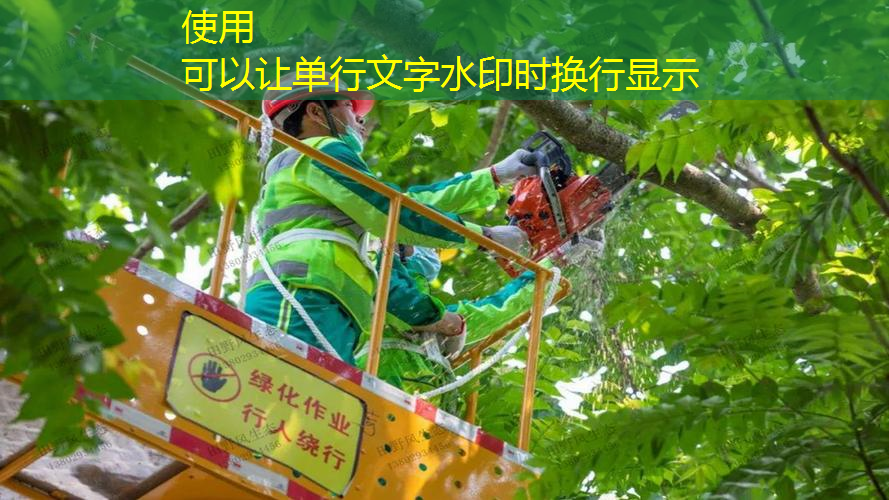 太原绿化工程养护招标网