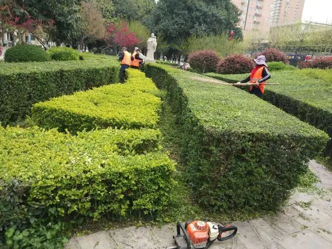 永城要干市政绿化工程需要什么条件